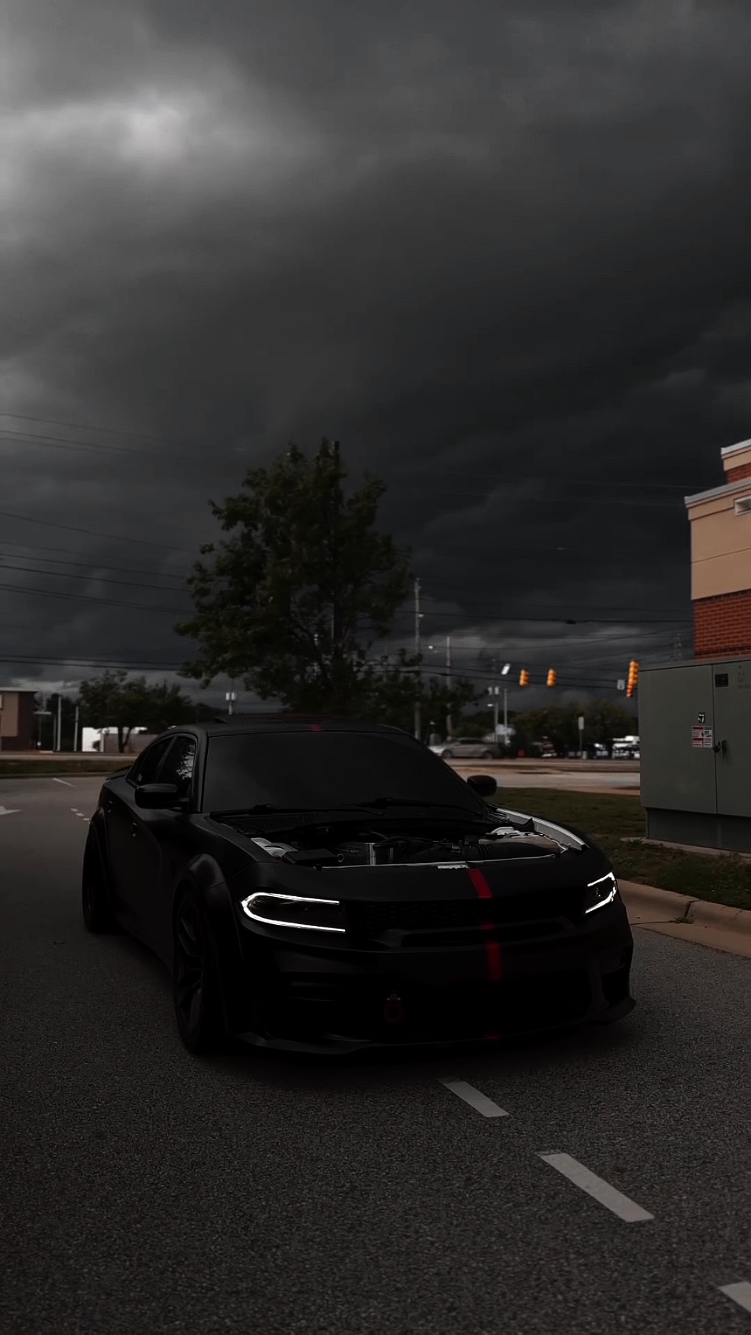 COCHE🖤