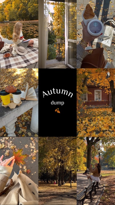 Fall season dump