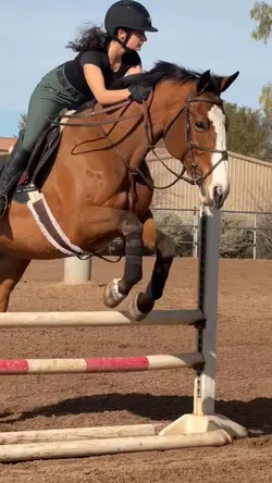 NOT REAL⚠️AI‼️FAKE‼️