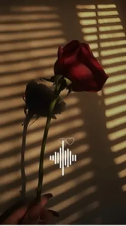 💖