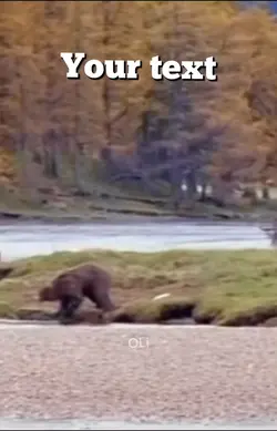 Bear mauls man