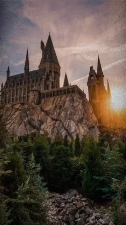 Harry Potter Hogwart