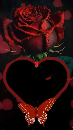 Rosa Roja