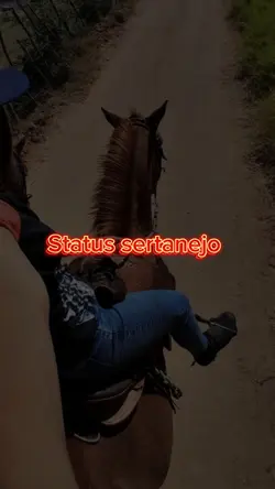 AMOR E PAIXÃO 