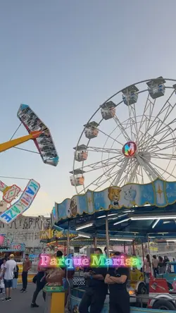 🎡