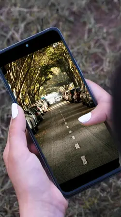 montagem celular