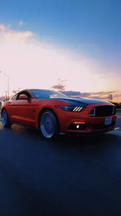 Rollers Pt 5