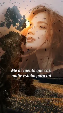 Frases y Reflexiones