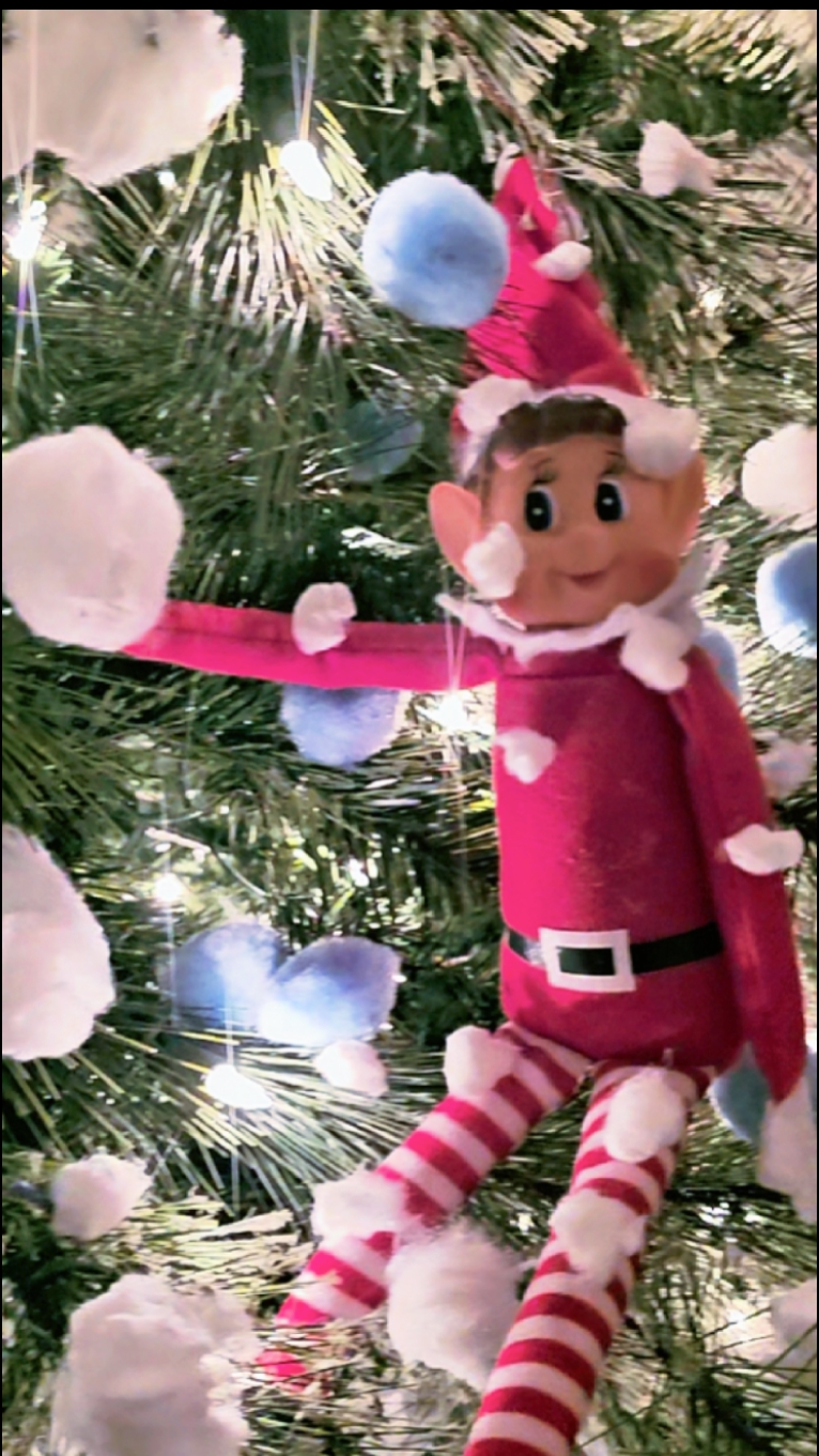 Elf On The Shelf ll