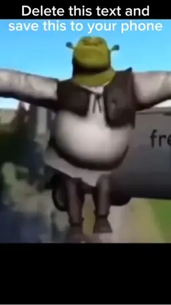 Shrek moves