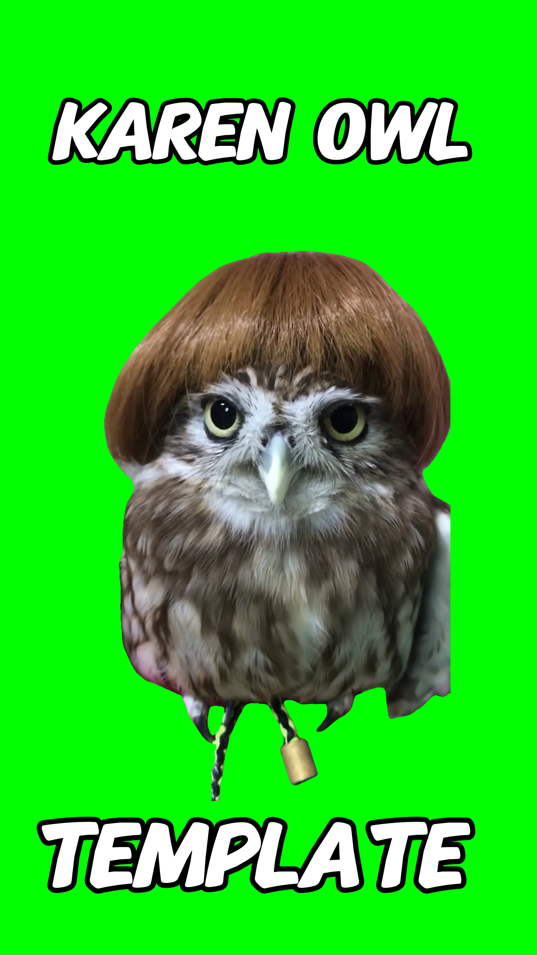 Karen Owl