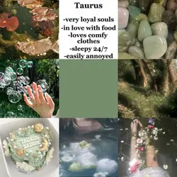 Taurus ♉️ 