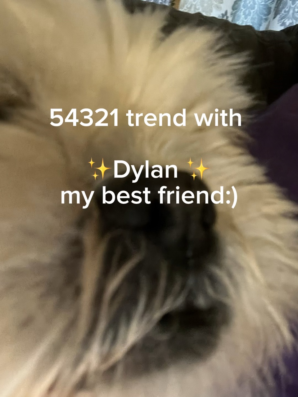 54321 wit Dylan :)