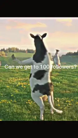 Can we get to 100