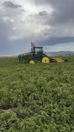 Farming