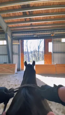 ⚠️NOT REAL⚠️ | 