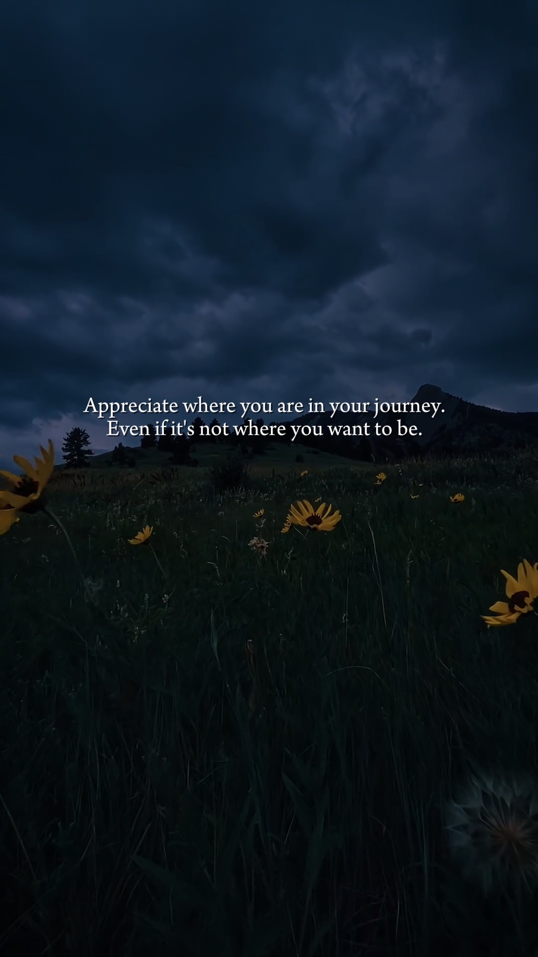 Appreciate it 🙇‍♂️