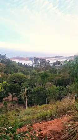 Estrada d felicidade