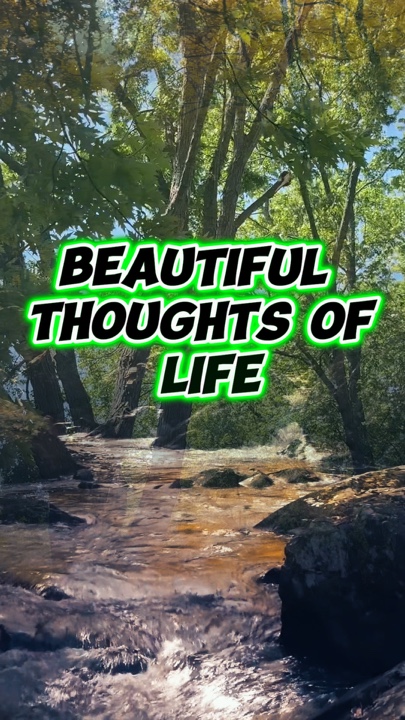 La Belleza De La Vida 