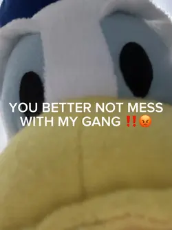 DONT MESS W/ MY GANG