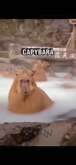 Capybara (sigma)