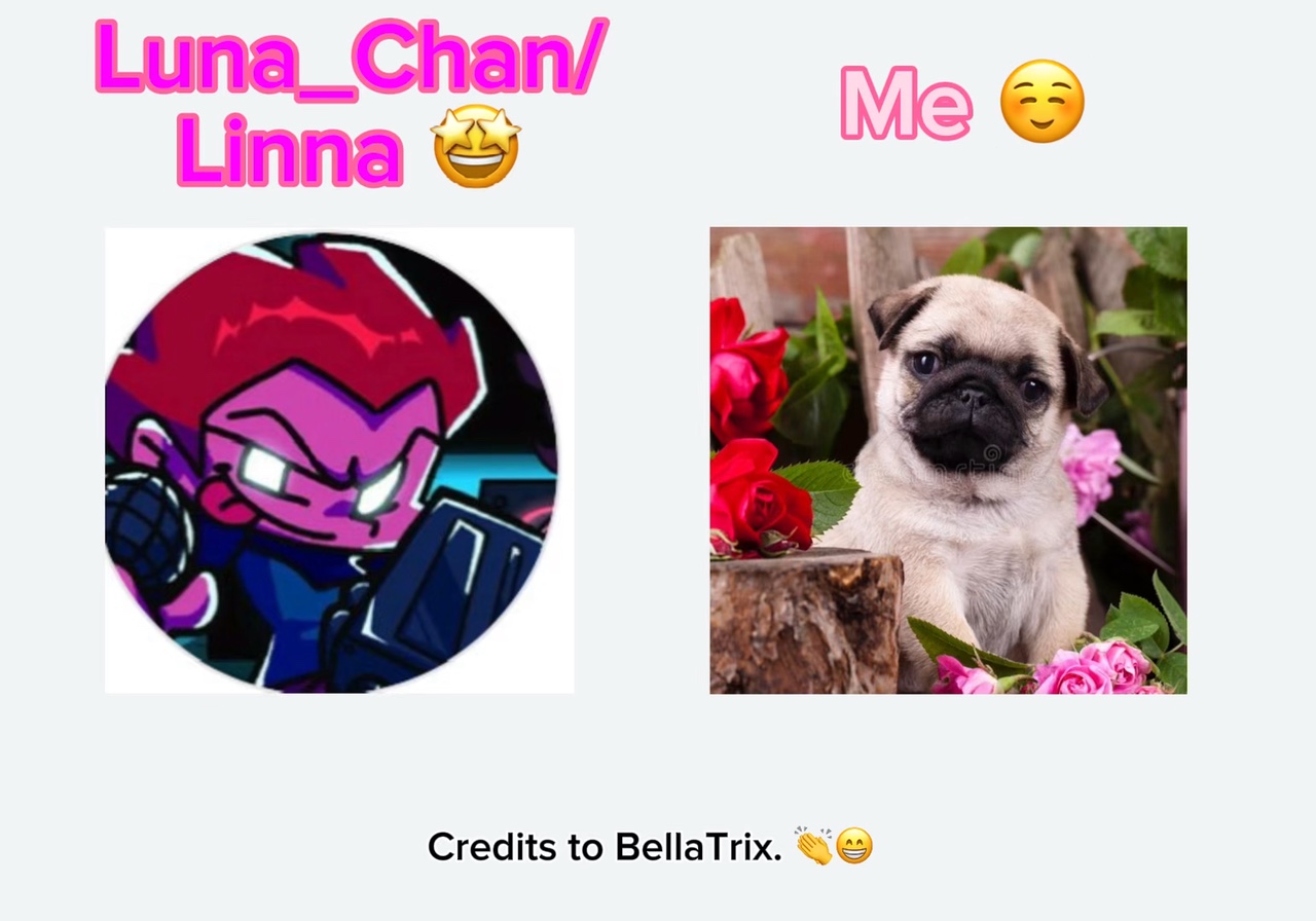 My mind 🤩