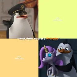 Madagascar's penguin