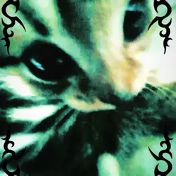 𝐅𝗈𝗋 : 𝐌𝖺𝗇𝗎𝗁