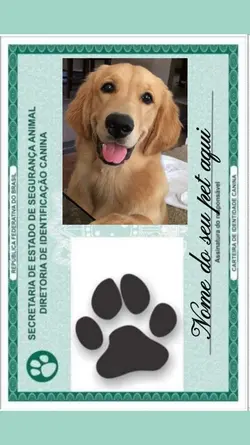 identidade pet