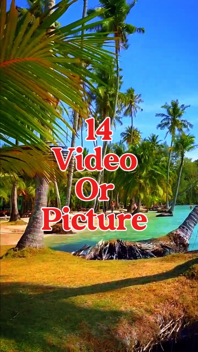 14 video or picture 