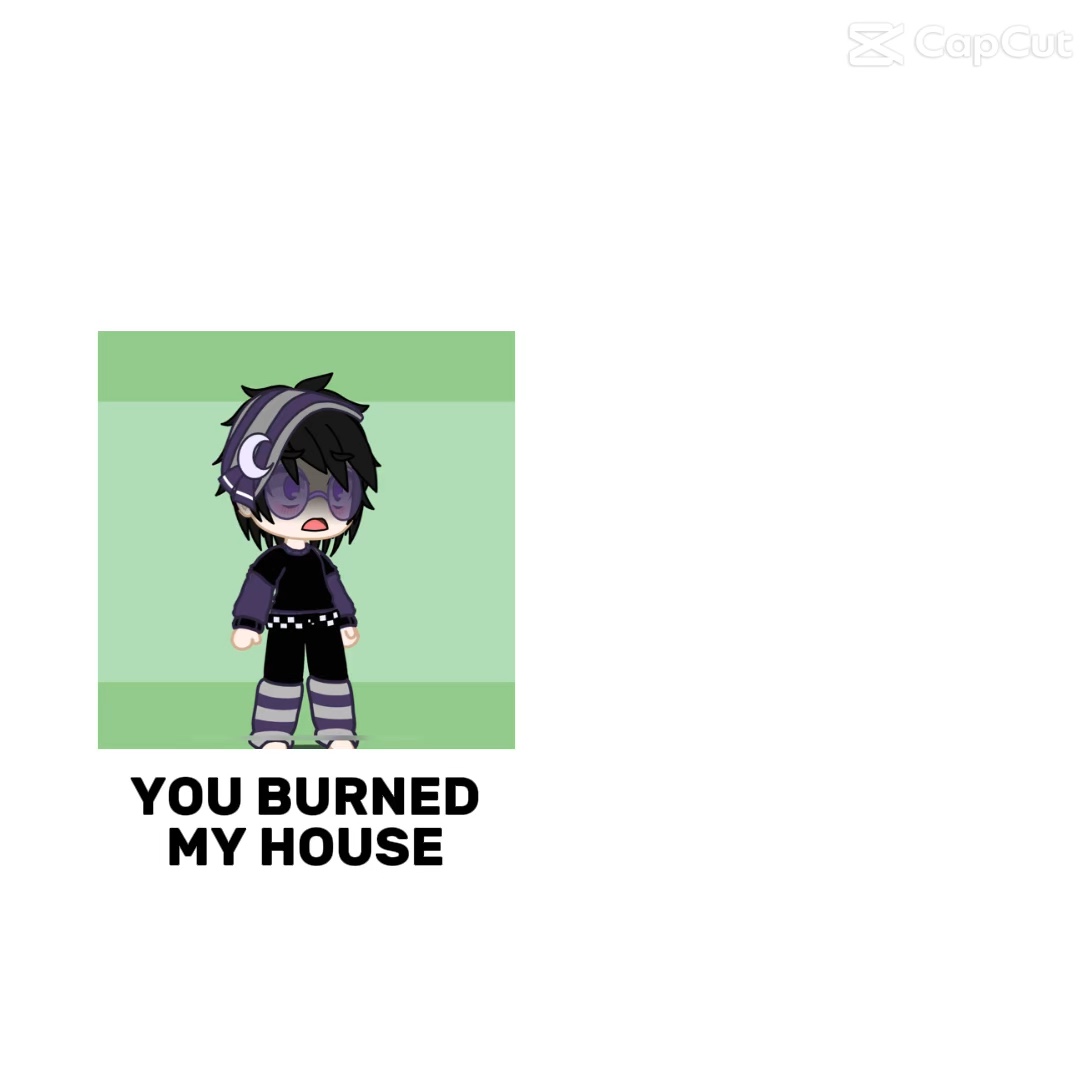 YOU BURNED MY HOUSE 