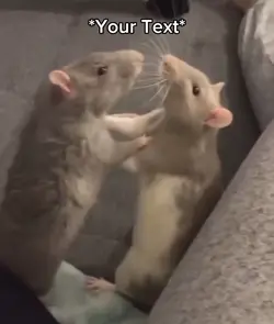 Rat Fight