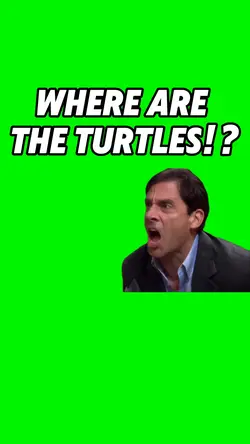 Where R The Turtles 