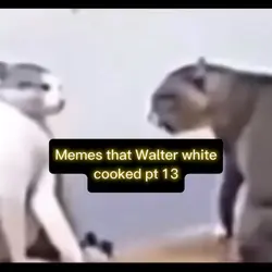 Funy