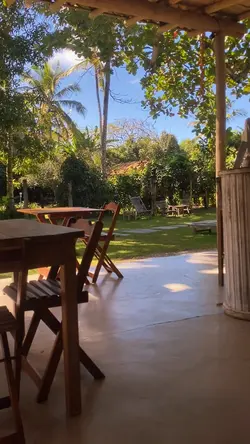 Vários vídeos 🎁