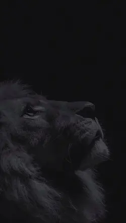 A igreja está de pé 