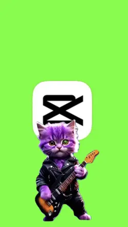 Gato guitarrista