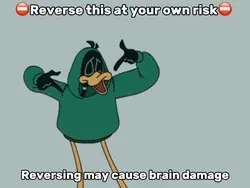 Pls Don’t Reverse