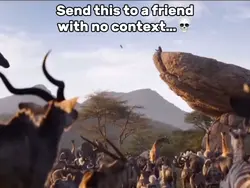 Lion King RIP
