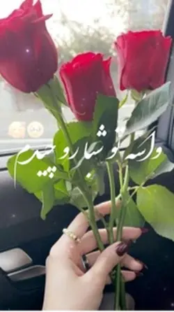 شاخه گل