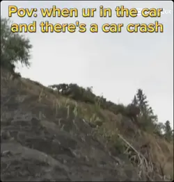 It's a car crash 