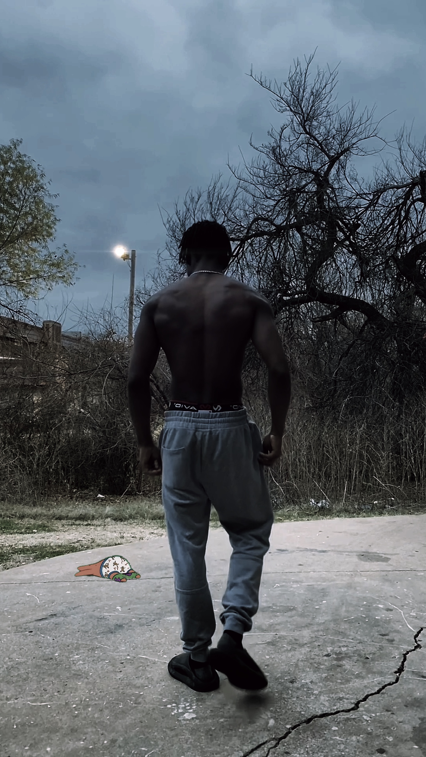 Cover Picture