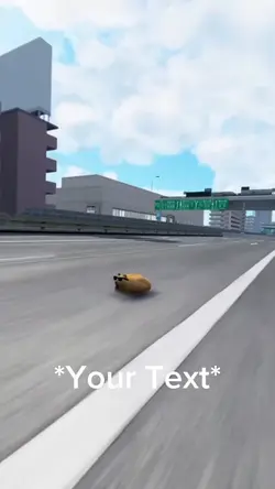 Cat on highway