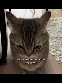 Don't mess w my gang