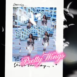 Pretty Wings 