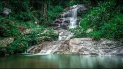 "Take only pictures,