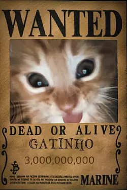 cartaz de procurado 