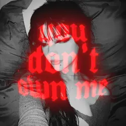 you don't own me