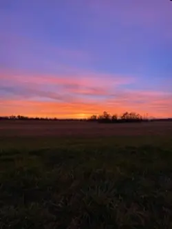sunset pic