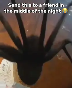 Jump Scare